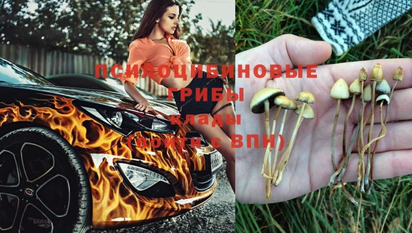 ГАЛЛЮЦИНОГЕННЫЕ ГРИБЫ Горнозаводск
