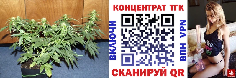 ТГК THC oil Краснослободск