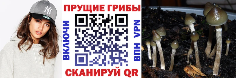 Купить  Краснослободск  Псилоцибиновые грибы прущие грибы 